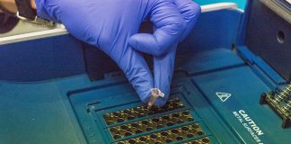 Новосибирский биолог назвал оптимальный срок для сдачи генетических тестов будущими родителями