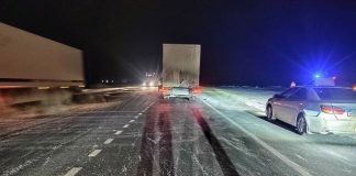 Пешеход погиб под колёсами грузовика на трассе в Новосибирской области