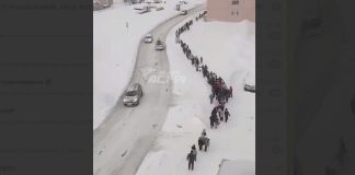 Учеников школы № 216 эвакуировали в Новосибирске