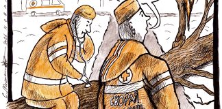 Сажайте деревья, а не людей: О березе, «Сибирь-Арене» и оправдательных приговорах