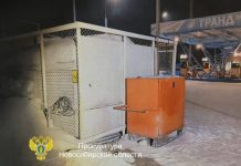 Двое студентов задержаны в Новосибирской области за поджоги АЗС