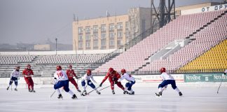 Названа ориентировочная стоимость нового стадиона для ХК «Сибсельмаш» в Новосибирске