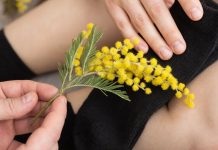 Дамы поздравляют кавалеров, кавалеры поздравляют дам