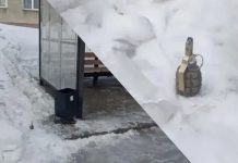 Предмет, похожий на гранату, нашли у остановки под Новосибирском