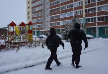 Испугался инструмента: Новосибирец натравил ГБР на работавшего в подъезде электрика