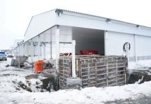 Электромонтажник погиб на объекте птицефабрики под Новосибирском. Начато расследование