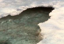 Штормовое предупреждение объявили в Новосибирской области из-за интенсивного снеготаяния